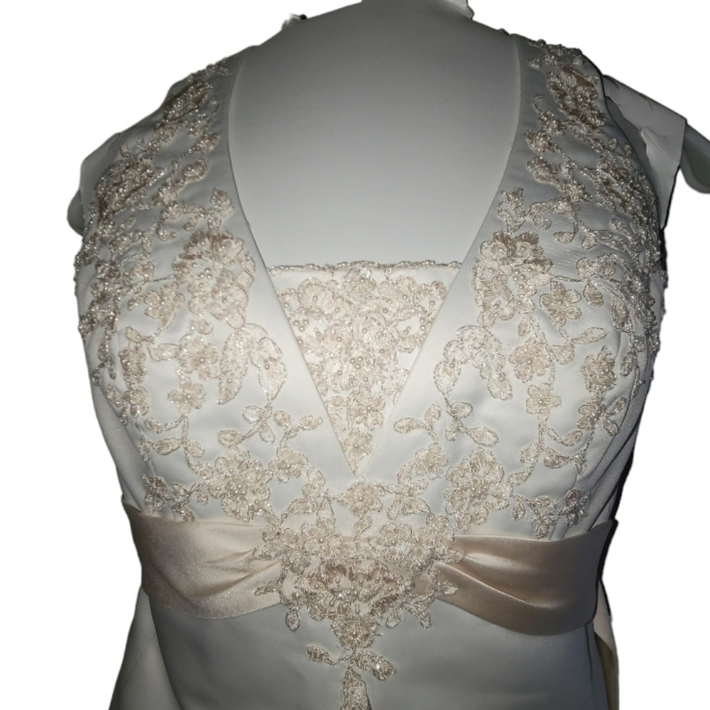 Size 16 Davids Bridal Wedding dress